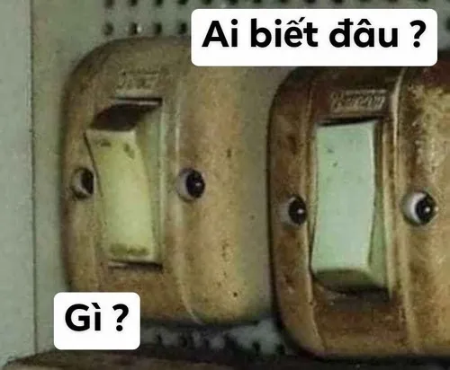 5 Tổng hợp meme đã làm gì đâu: Khi biểu cảm nói thay ngàn lời biện hộ