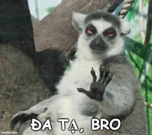 Ảnh troll hành động cảm kích như thật luôn