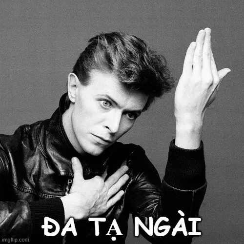 Hình troll thần thái đa tạ khó nhịn cười