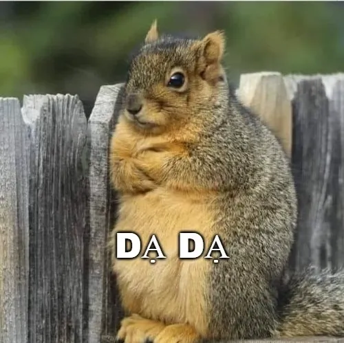 26 Meme dạ ạ, nhìn thôi đã thấy lễ phép