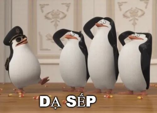 28 Meme vâng sếp, châm biếm nhẹ nhàng mà thấm