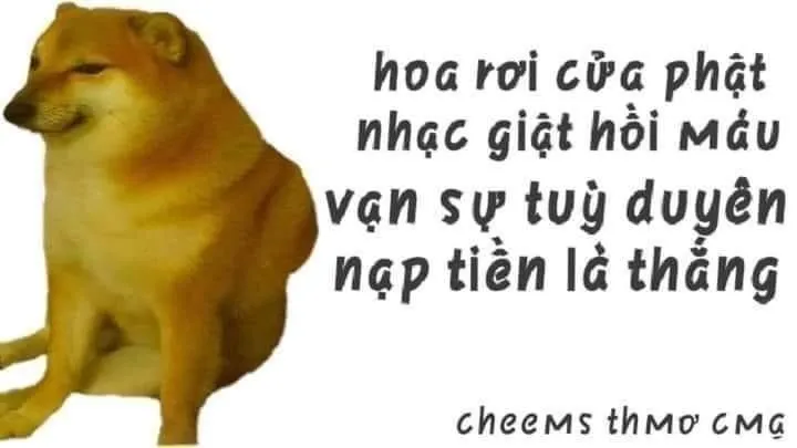 Meme chế đạo lý cổ gặp trend TikTok