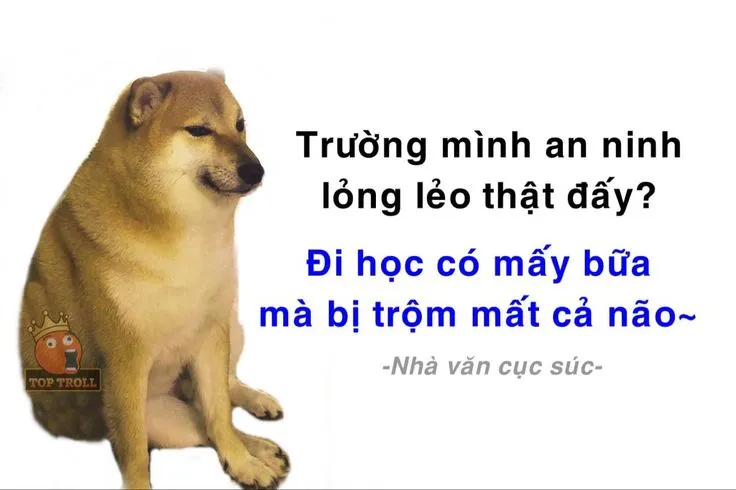 Meme hài triết học cổ pha muối mặn mòi
