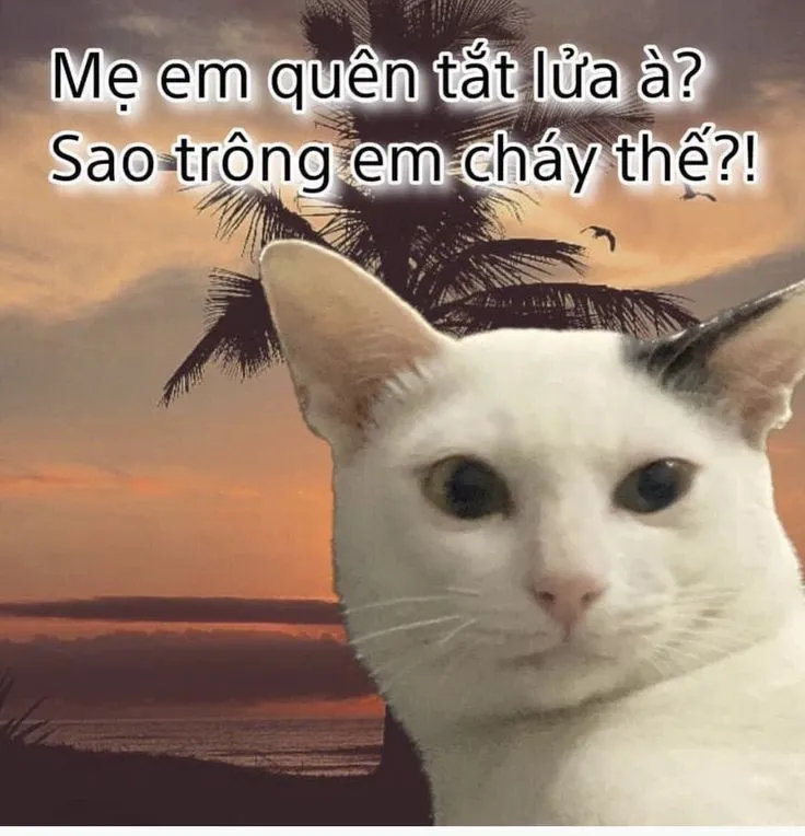 Ảnh chế triết lý xưa phiên bản Gen Z