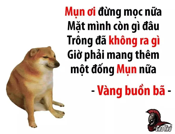 Meme hài ngụ ngôn đời thực siêu thấm