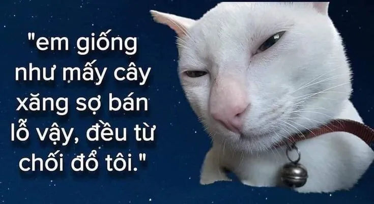 Ảnh vui tâm pháp Tào Tháo bản remix