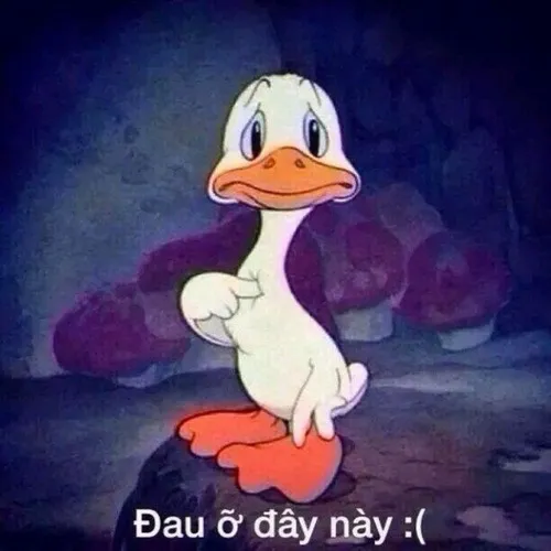 Tổng hợp meme đau ở đây này khiến ai từng yêu cũng thấy mình trong đó