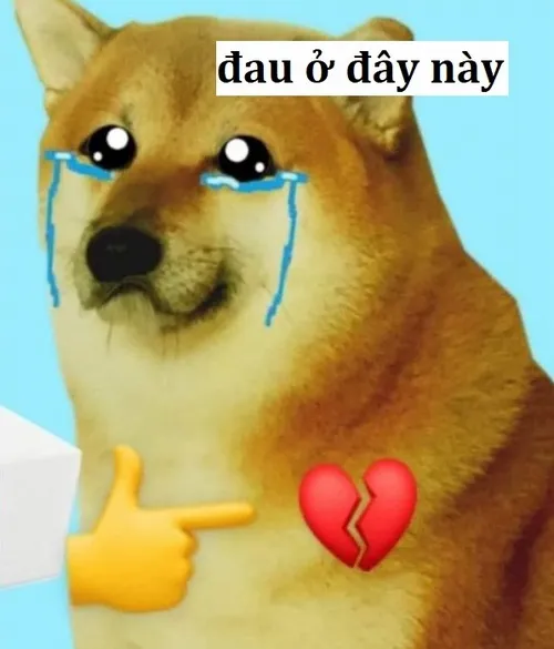 Hình troll “đau ở đây”, trend TikTok nổi bật.