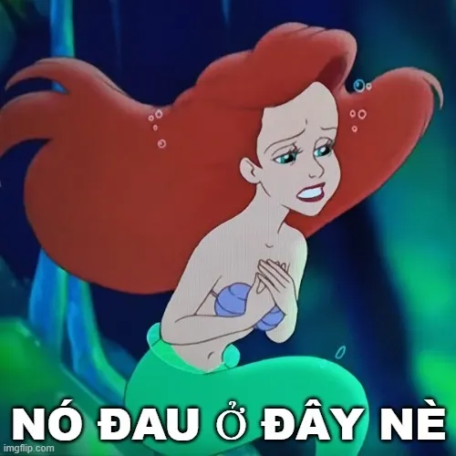 Meme buồn nhẹ, nhìn thôi cũng thương.