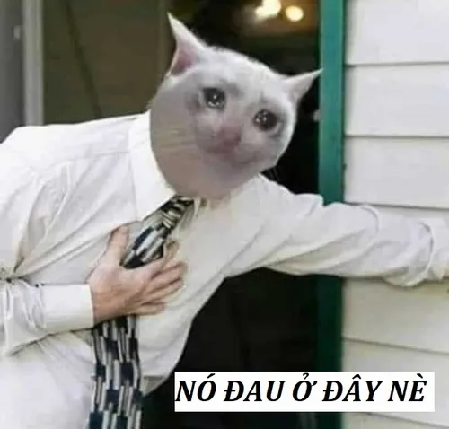 Hình chế gương mặt chạm tim, caption thật.