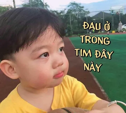 Meme hài buồn, pha trộn giữa cười và xót xa.