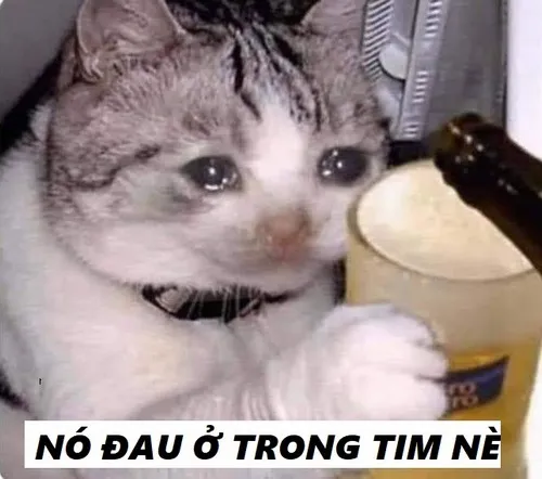 Meme buồn gương mặt chùng, caption “đau ở đây”.