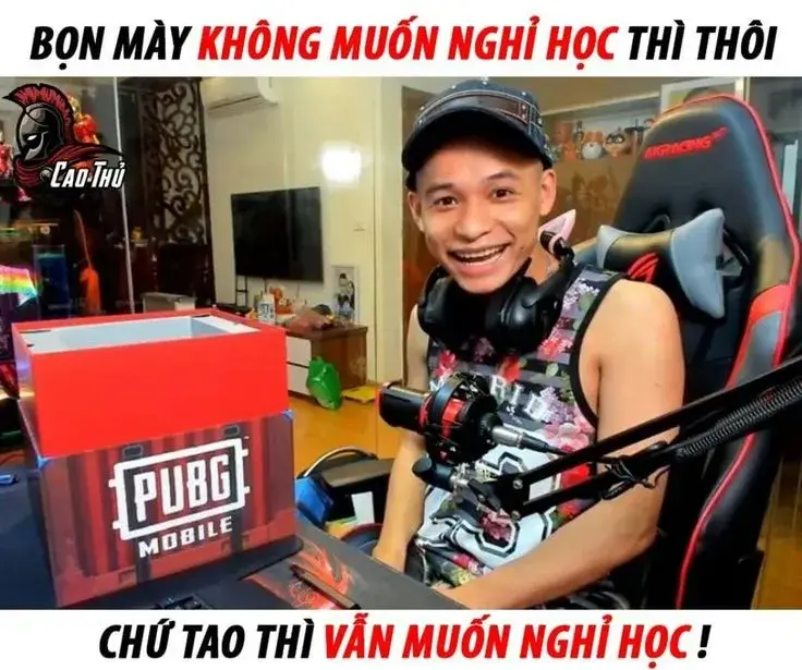 Hình chế Độ Mixi nhăn mặt cực bựa