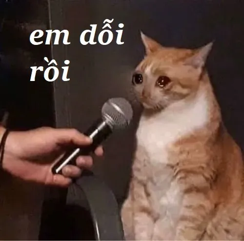 Hình troll mèo phồng má chuẩn vibe dỗi điển hình