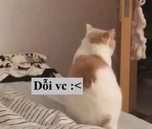 Meme dỗi ngược người yêu, giận mà vẫn cưng