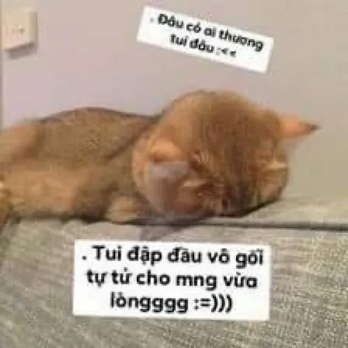 Ảnh vui anime dỗi nhìn mà muốn nhào vô ôm liền