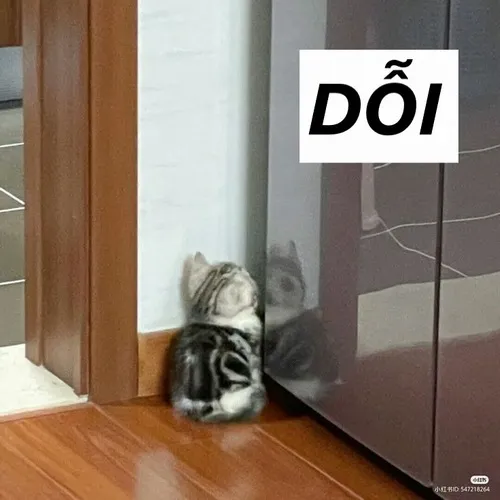 482 70 Meme Dỗi Hờn, lẫy nhẹ nhưng gây nghiện, nhìn phát biết liền tâm trạng