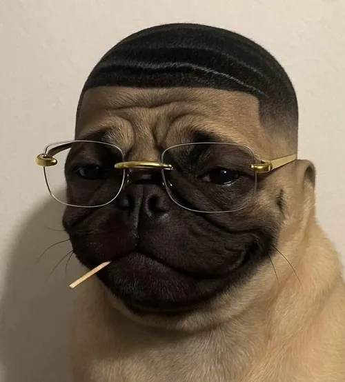 Ảnh chế khỉ đu cây cười sảng khoái như trúng số