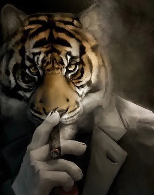 Ảnh chế chim hải âu la làng trên bãi biển