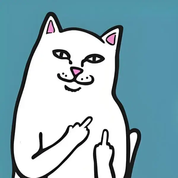 Hình mèo troll dơ ngón giữa như câu nói mỉa mai