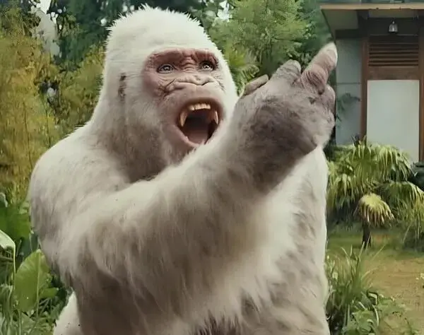 Meme chế ngón giữa đáp lại lời chọc ghẹo