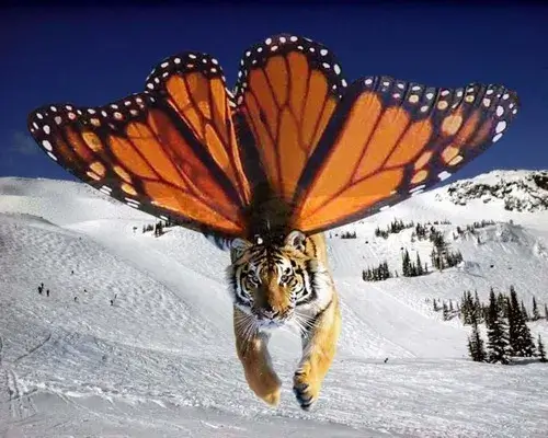 Meme tê giác cắm sạc năng lượng cuộc sống