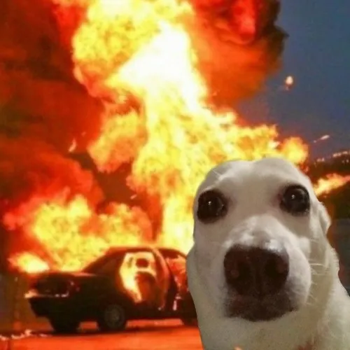 Meme đốt nhà mang chất troll nhẹ nhưng sâu cay