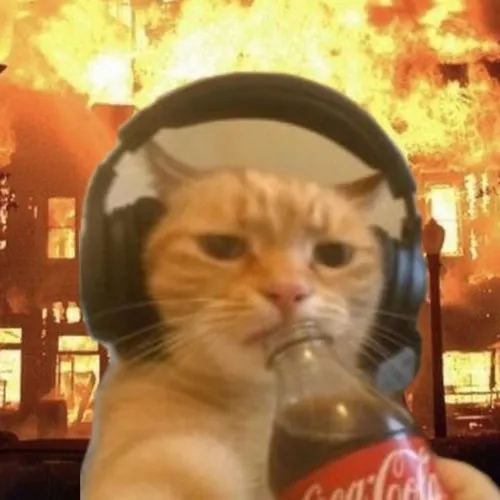 Meme đốt nhà gói trọn tinh thần “cháy khét lẹt”