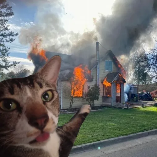 Khoảnh khắc meme toát ra cảm giác bực mà vẫn vui