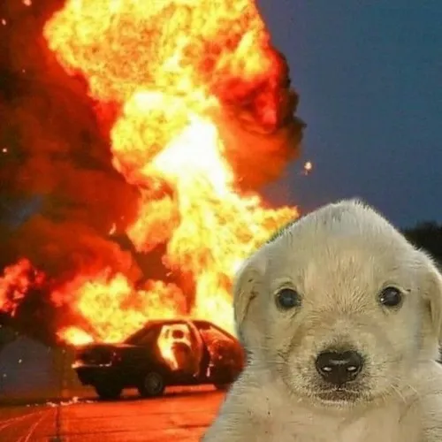 Meme đốt nhà pha vibe bốc đồng, nóng nảy