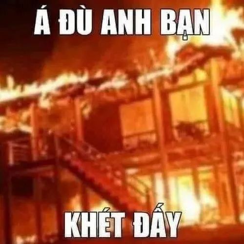 Meme đốt nhà nhìn phát là thấy năng lượng cực mạnh