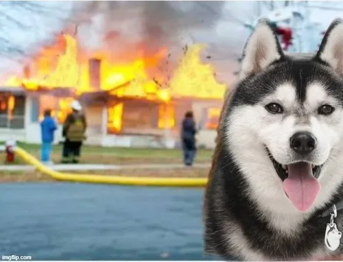 Meme đốt nhà tạo cảm giác bùng nổ nội tâm