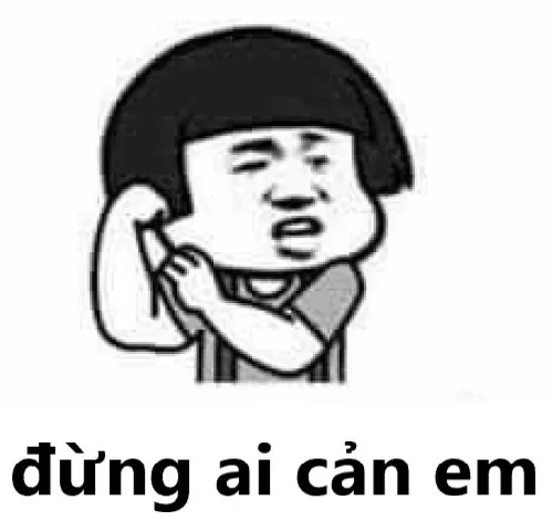 Meme đừng ai cản em