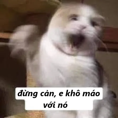 Meme đừng cản em khô máu với nó