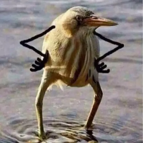 Ảnh troll chống nạnh khuôn mặt cau có