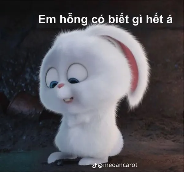 Em hông có biết gì hết á
