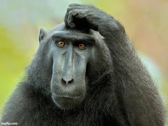 Meme chế gãi đầu ngáo ngơ dễ thương