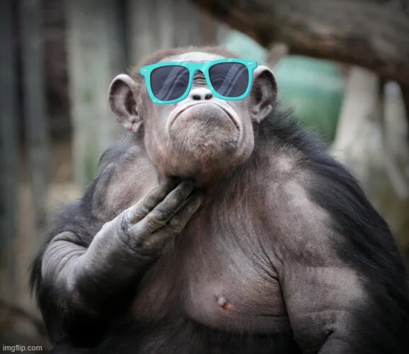 Meme hài gãi đầu kiểu dân mạng