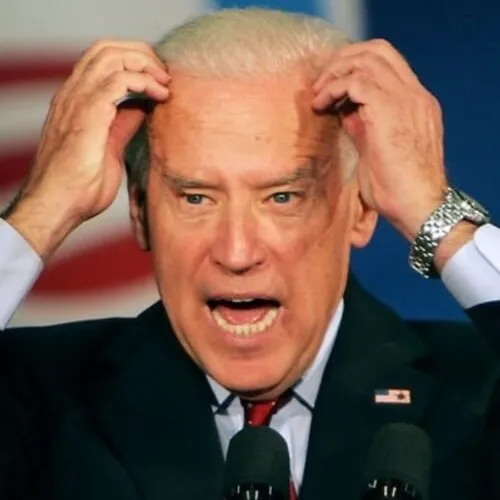 Hình troll gãi đầu ngượng nhẹ