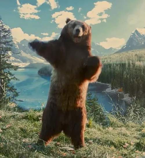 Ảnh hài gấu troll bạn bè cực hợp mood