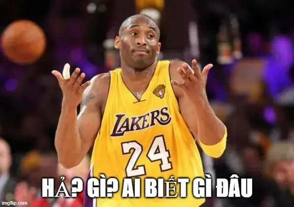 Ảnh chế troll nhau cực mạnh nhưng đáng yêu