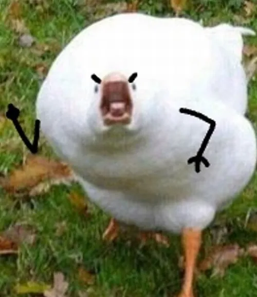 Bộ ảnh meme giận song hành: Cùng một tình huống, nhiều cách “nổi nóng” khác nhau