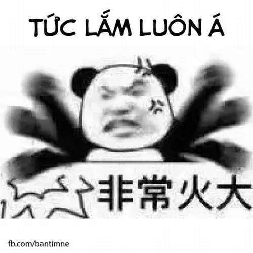 Meme giận nhẹ mà sâu cay: Khi biểu cảm nói thay ngàn lời