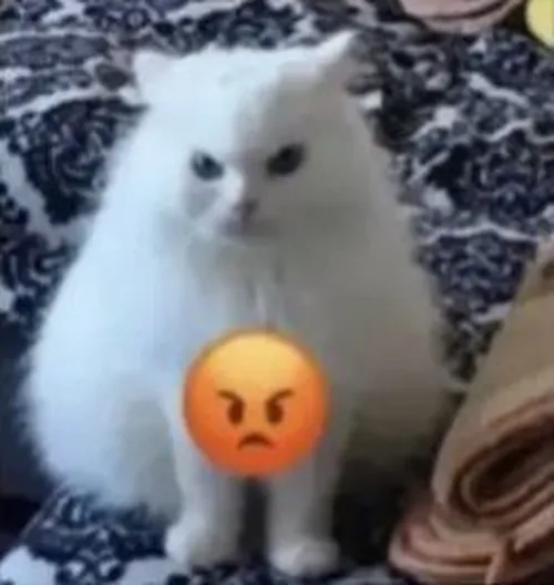 Meme giận tím người với biểu cảm cực gắt đầy kịch tính