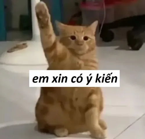 53 40+ Meme Giơ Tay và những pha “xin phát biểu” đầy vô tri nhưng cực kỳ hài hước