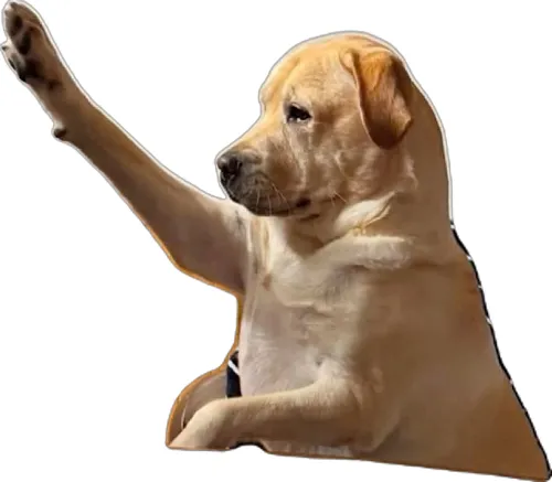 Khi bạn chờ được gọi nhưng ai cũng nói mãi