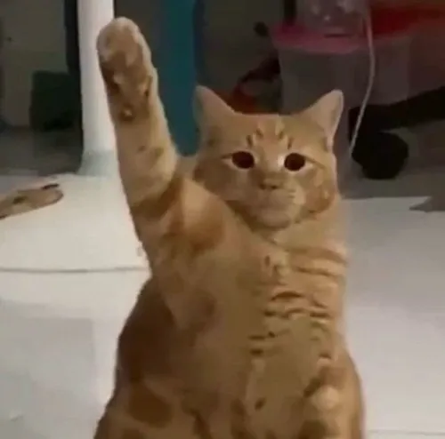 Ảnh chế giơ tay họp nhóm cười xỉu