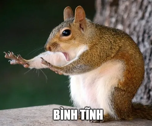 Hình chế khuôn mặt bớt căng giữ hòa khí nha