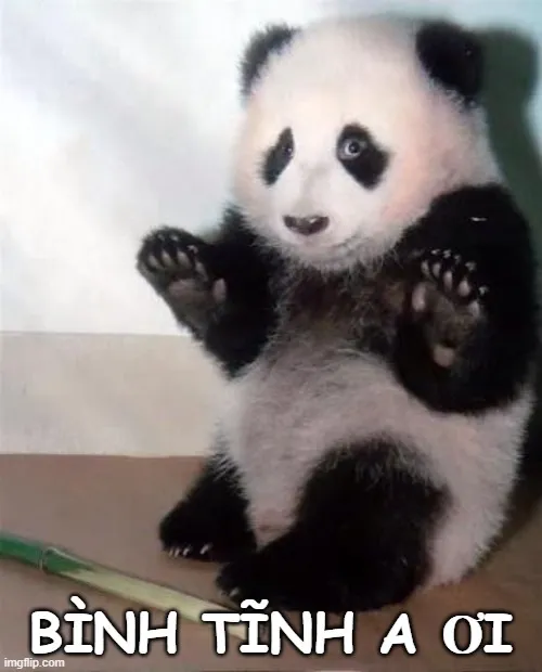Meme bình tĩnh đi bro ơi