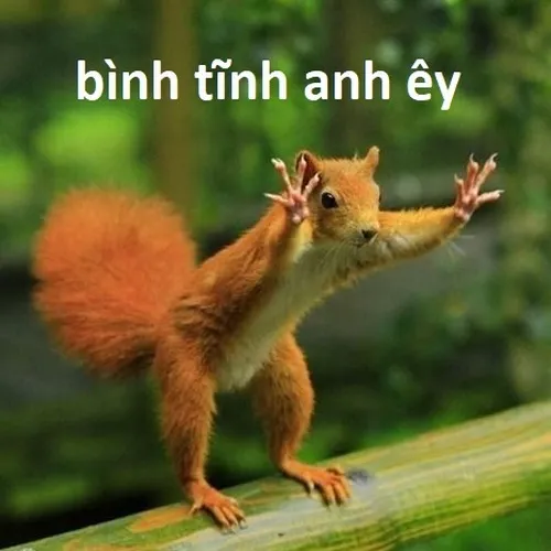 Ối ối bình tĩnh anh êy